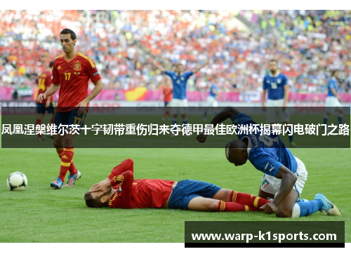 凤凰涅槃维尔茨十字韧带重伤归来夺德甲最佳欧洲杯揭幕闪电破门之路